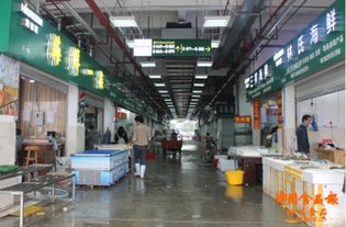 筑牢安全防線，守護(hù)舌尖健康——成都農(nóng)產(chǎn)品中心批發(fā)市場(chǎng)商家深入學(xué)習(xí)食品安全法與食用農(nóng)產(chǎn)品批發(fā)規(guī)范